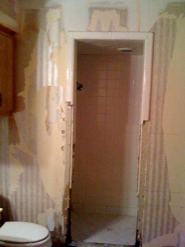 Bathroom remodel before
